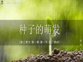 3.1.1.2种子的萌发（第2课时）【课件】——2026年初中生物七年级下册人教版
