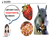 3.1.1.2种子的萌发（第2课时）【课件】——2026年初中生物七年级下册人教版