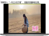3.1.1.1种子的萌发（第1课时）【课件】——2026年初中生物七年级下册人教版