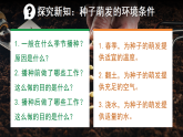 3.1.1.1种子的萌发（第1课时）【课件】——2026年初中生物七年级下册人教版