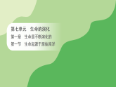 第七单元 第一章 生命是不断演化的 第一节 生命起源于原始海洋（课件）2025-2026学年济南版八年级生物下册12