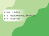 第七单元 第二章 第一节 人类起源于古猿（课件）2025-2026学年济南版八年级生物下册