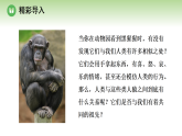第七单元 第二章 第一节 人类起源于古猿（课件）2025-2026学年济南版八年级生物下册