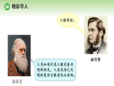 第七单元 第二章 第一节 人类起源于古猿（课件）2025-2026学年济南版八年级生物下册