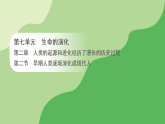 第七单元 第二章 第二节 早期人类逐渐演化成现代人（案例一）（课件）2025-2026学年济南版八年级生物下册