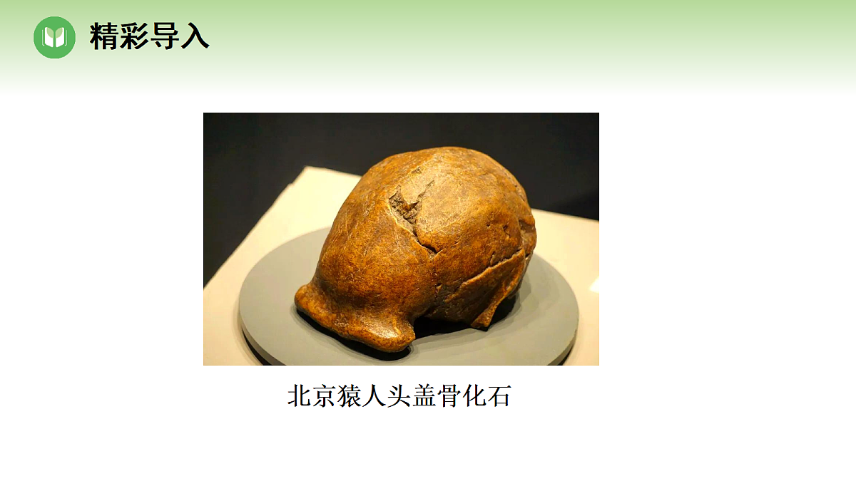18004176第2页
