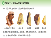 第七单元 第二章 第二节 早期人类逐渐演化成现代人（案例一）（课件）2025-2026学年济南版八年级生物下册