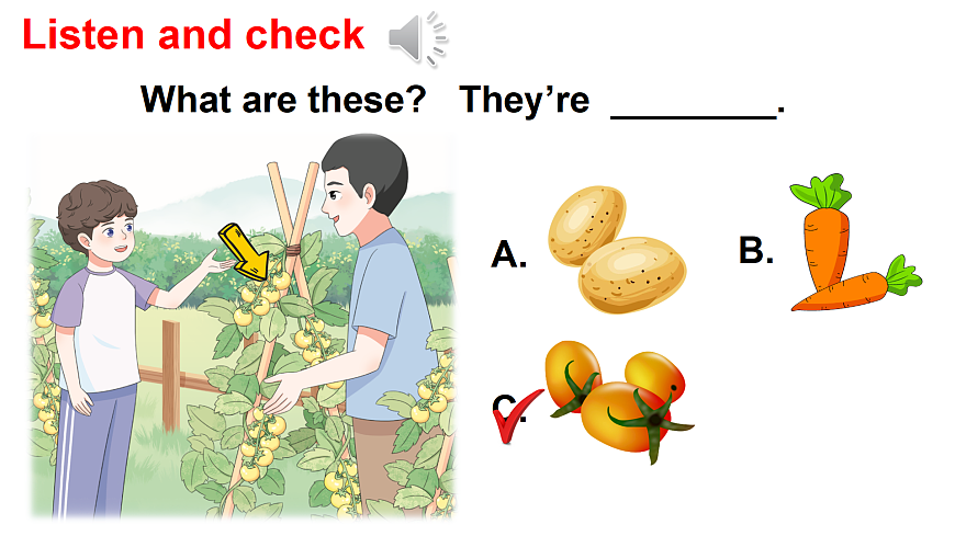 Part  B 第4课时第6页