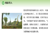 第八单元 第一章 第一节 生态因素影响生物的生活 第二课时 生态因素影响生物的生活（案例一）（课件）济南版八年级生物下册