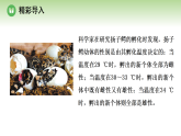 第八单元 第一章 第一节 生态因素影响生物的生活 第二课时 生态因素影响生物的生活（案例一）（课件）济南版八年级生物下册