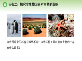 第八单元 第一章 第一节 生态因素影响生物的生活 第二课时 生态因素影响生物的生活（案例一）（课件）济南版八年级生物下册
