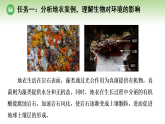 第八单元 第一章 第二节 生物能够适应和影响环境 第二课时 生物能够影响环境（课件）2025-2026学年济南版八年级生物下册