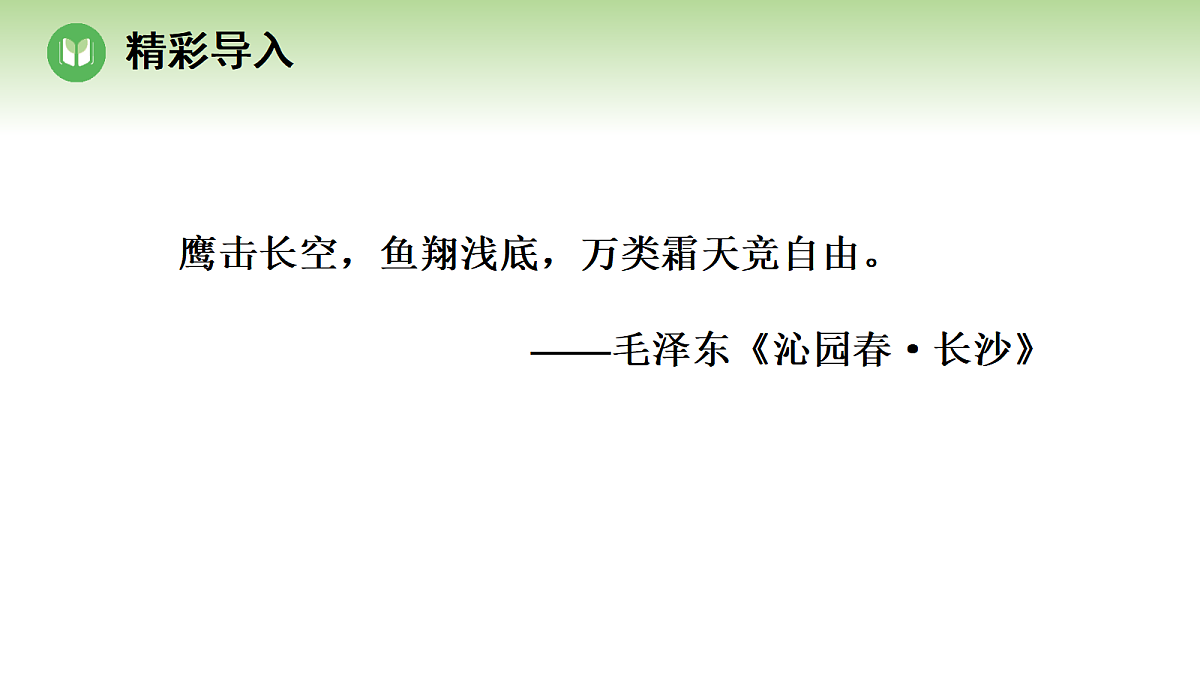 18004222第2页