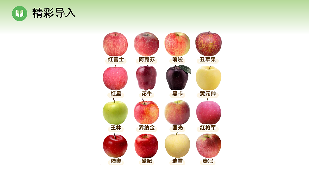18004229第3页