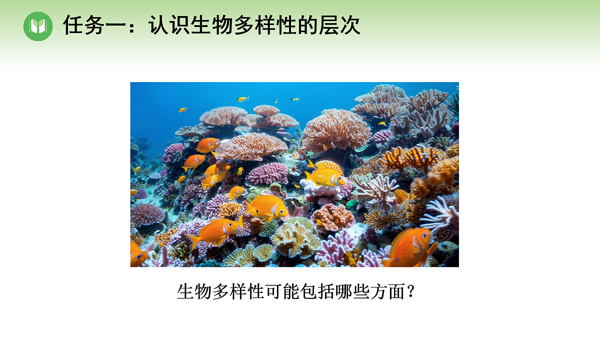 18004229第4页