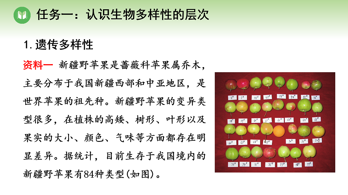 18004229第6页