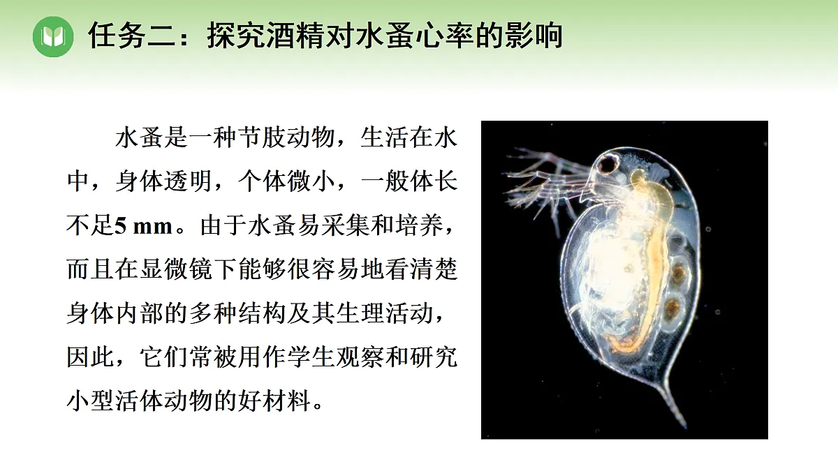 18004285第5页