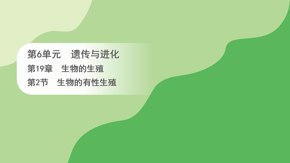 18004288第1页