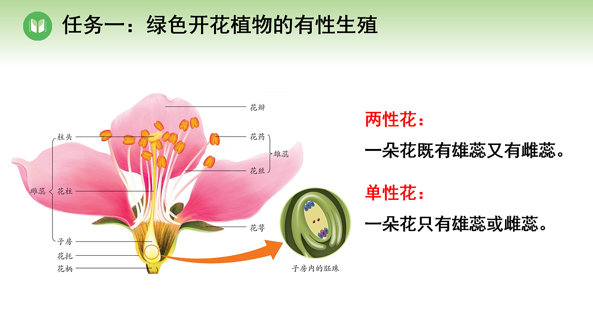 18004288第3页