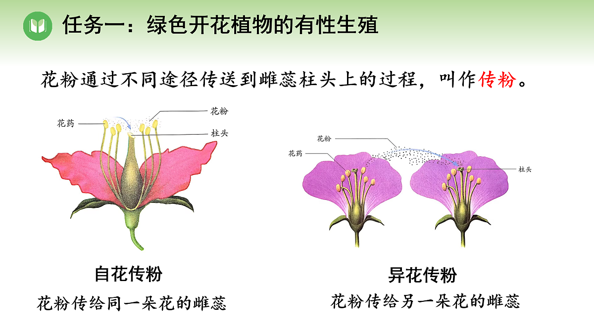 18004288第4页