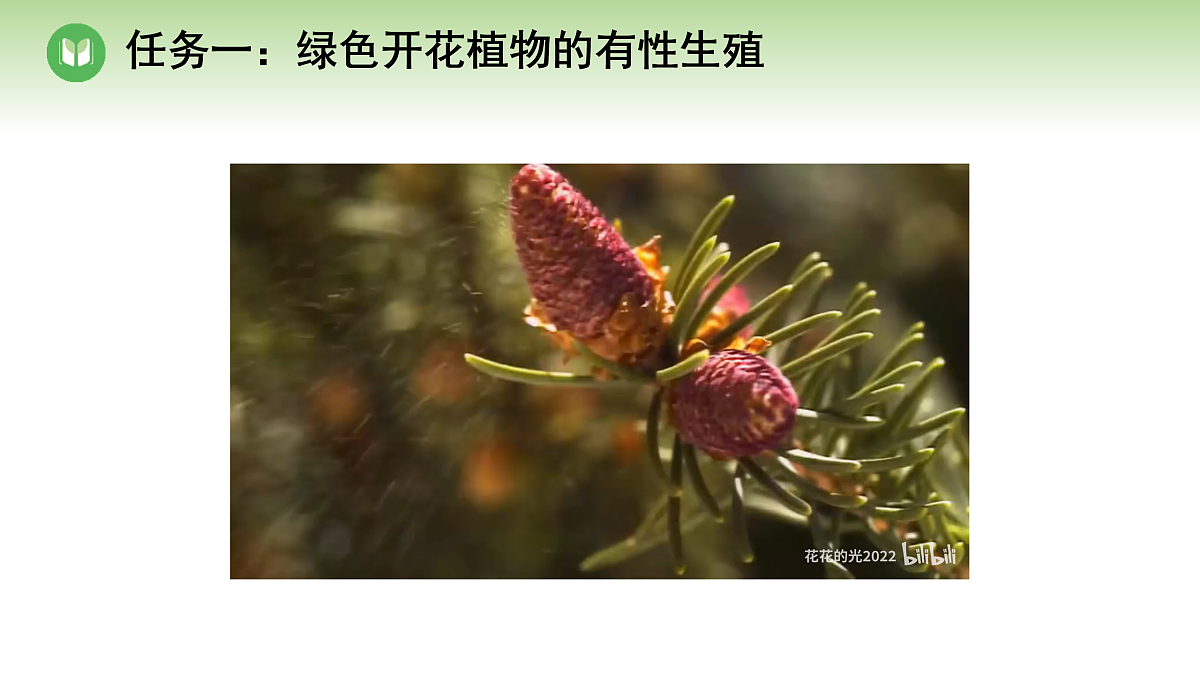 18004288第5页