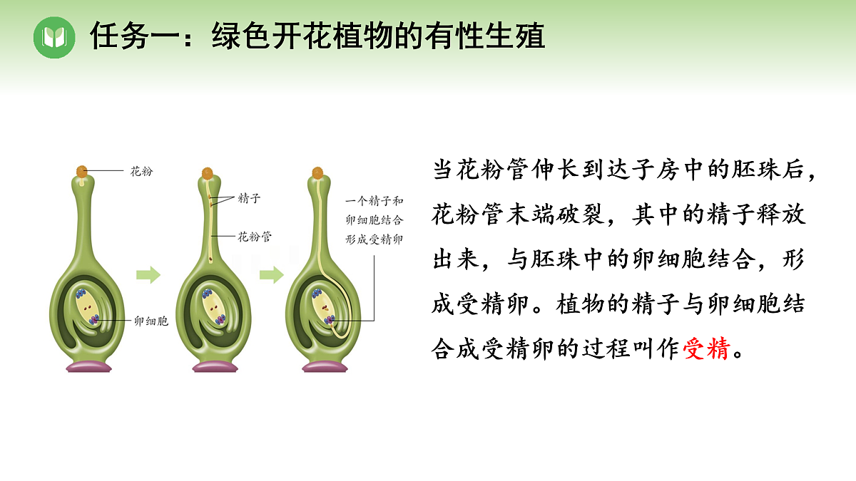 18004288第7页