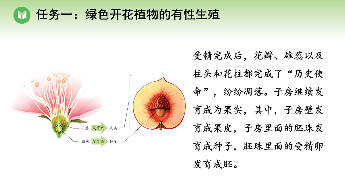 18004288第8页