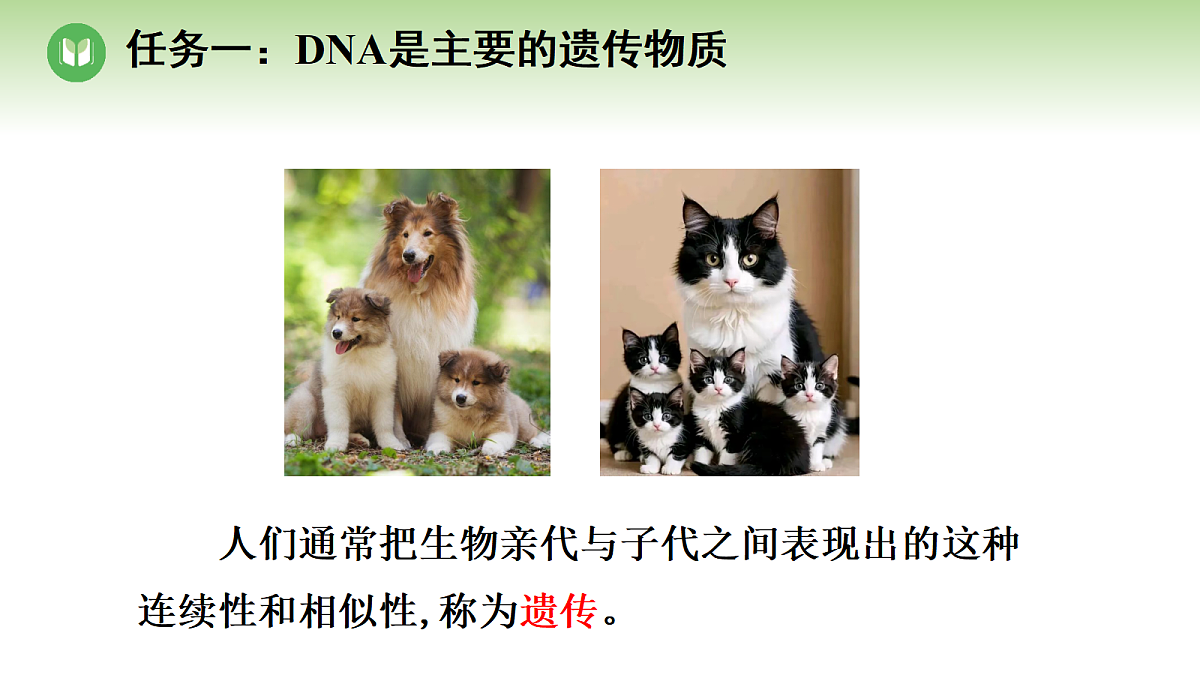 18004289第3页