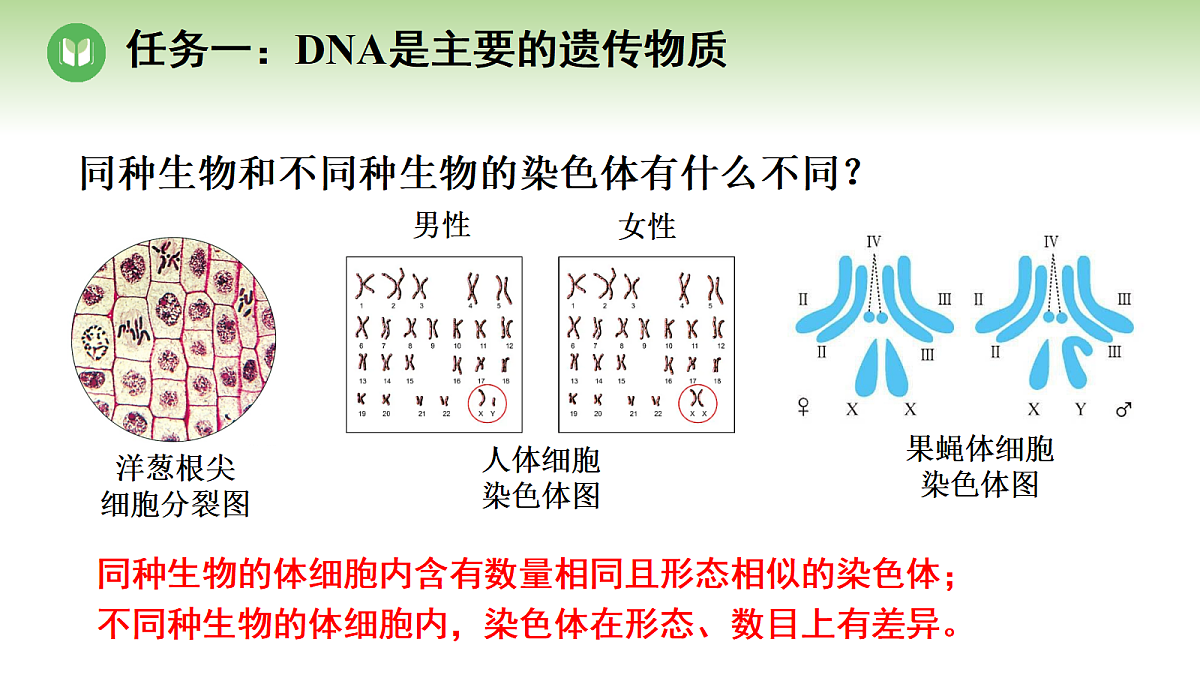 18004289第4页
