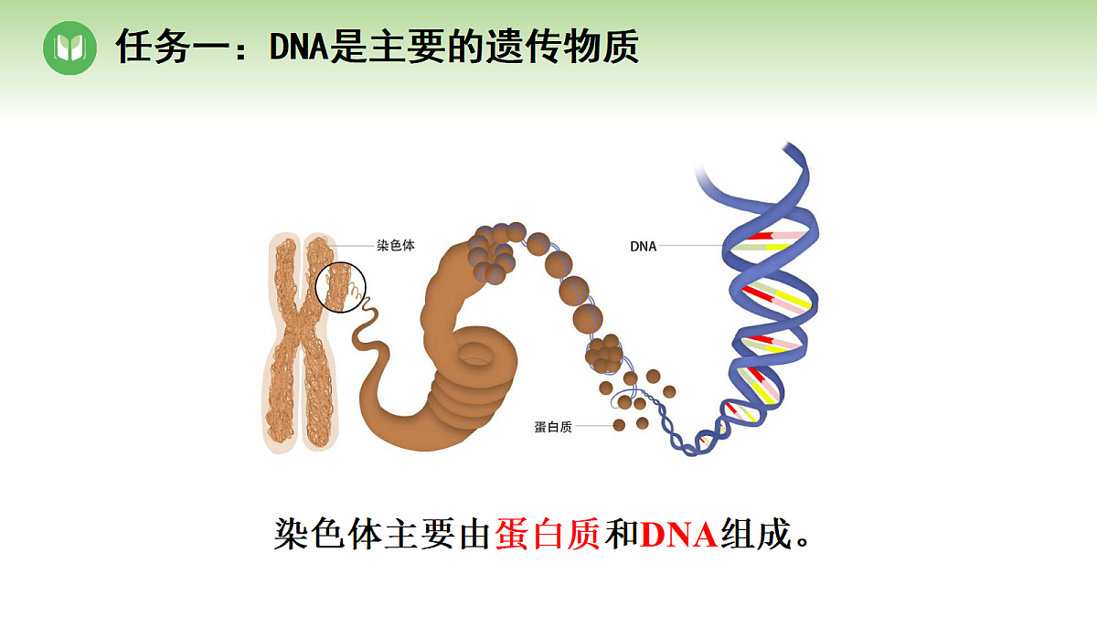 18004289第5页