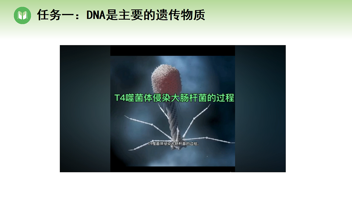18004289第6页