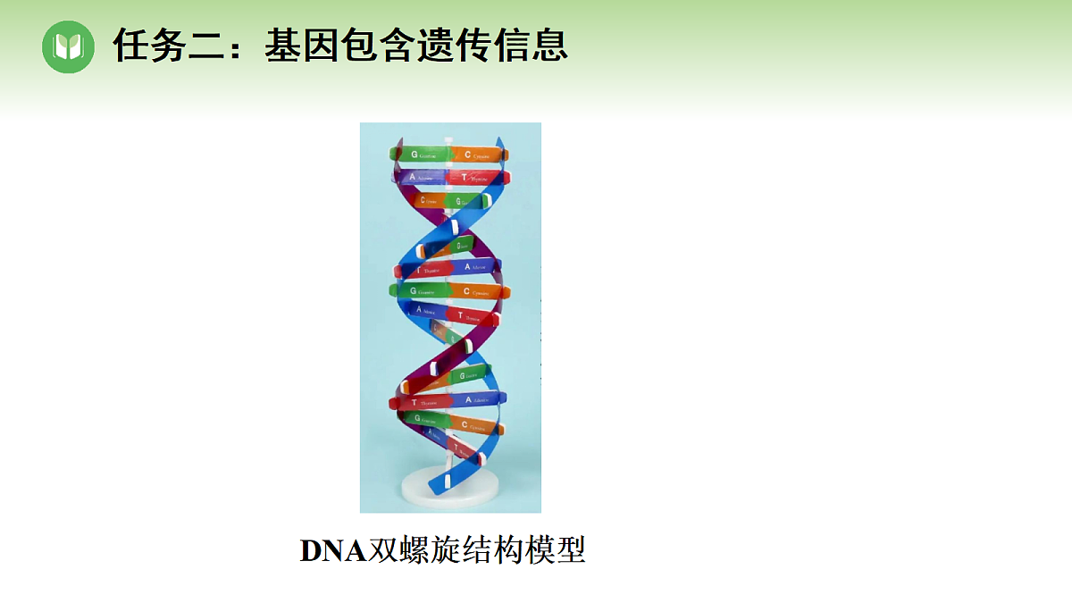 18004289第8页