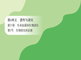 第6单元 第21章 生命起源和生物进化 第2节 生物进化的证据（课件）2026年江苏版八年级生物下册