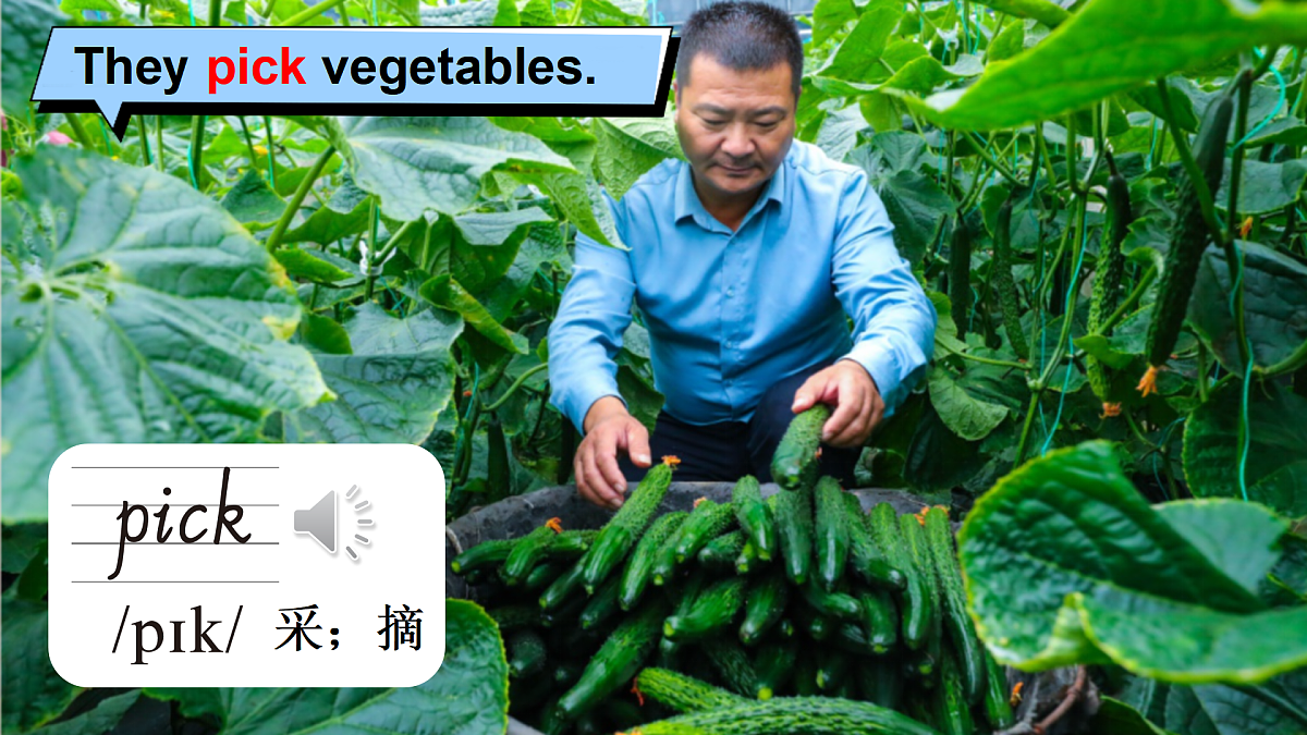 18004851第8页