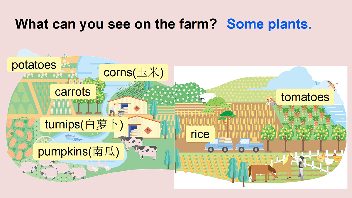 18004853第5页