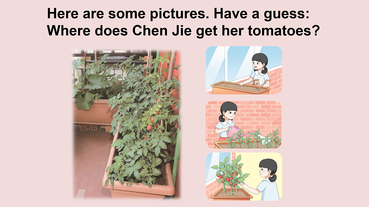 18004854第8页