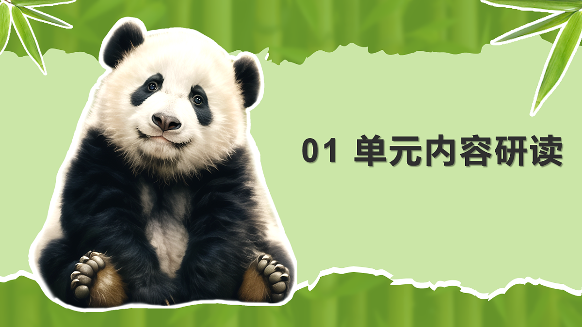 18008294第3页