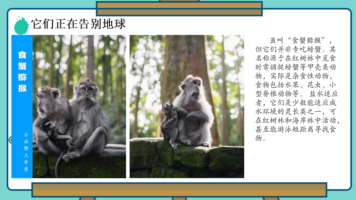 保护珍稀动物第7页
