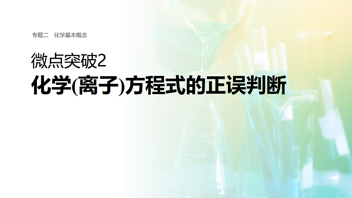 专题二　微点突破2　化学(离子)方程式的正误判断第1页