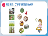 7植物和我们（课件）科学二年级下册（湘科版2024）