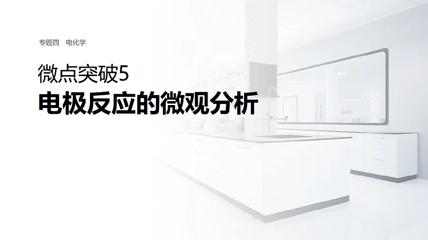 专题四　微点突破5　电极反应的微观分析第1页