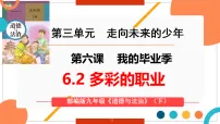 初中政治 (道德与法治)人教版（2024）九年级下册多彩的职业图片课件ppt