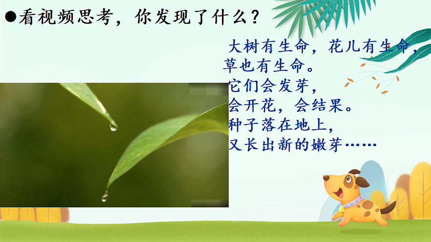 18009753第5页