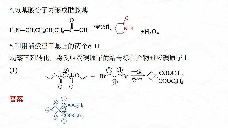 专题九　微点突破6　常见的成环反应第4页