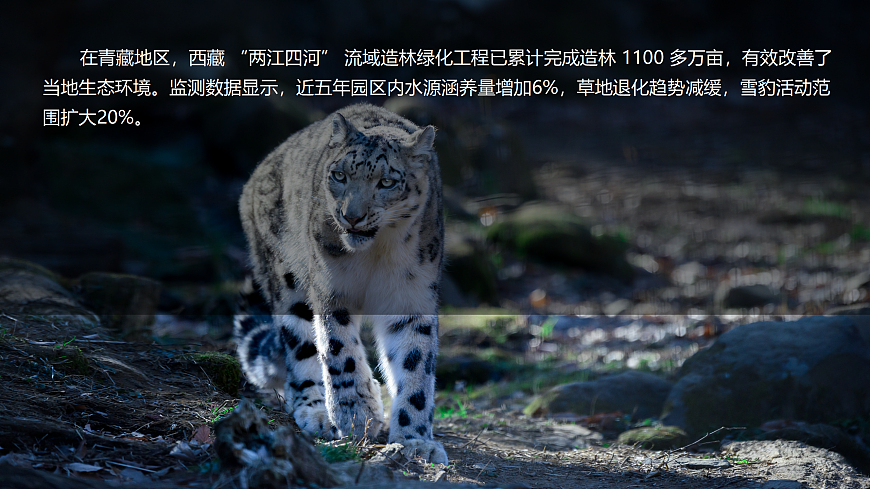 18009760第2页