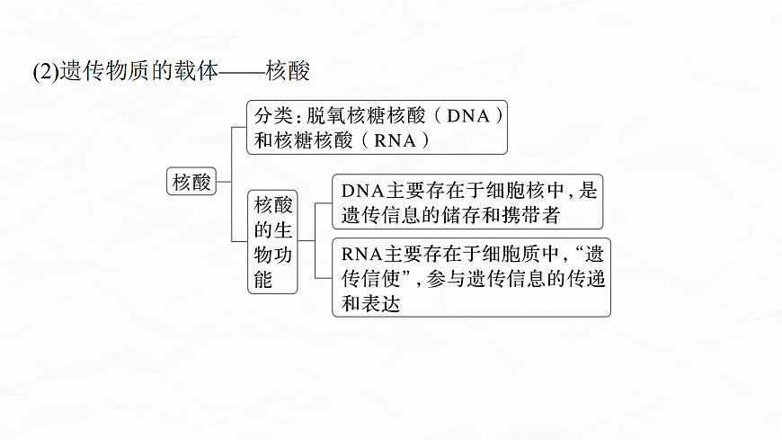 专题九　微点突破1　有机物的组成特点、研究方法　生活中常见有机化合物第7页