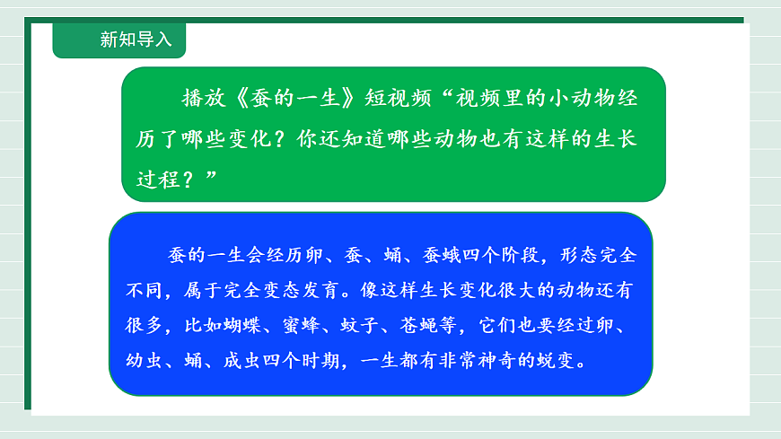 2.9《单元小结2》教学课件第4页