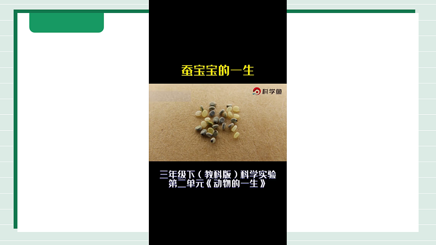 2.9《单元小结2》教学课件第6页