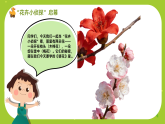花城版（2024）小学音乐二年级下册《猜花》教案+课件+素材