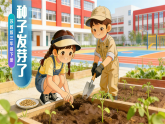 苏教版小学科学三年级下册 05种子发芽了 课件